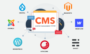 سیستم‌های مدیریت محتوا (Content Management Systems|CMS)